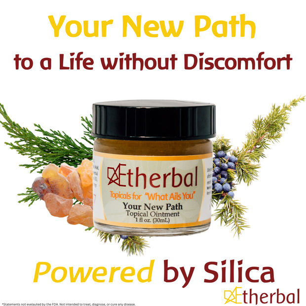 Find "Your New Path" without the Pain