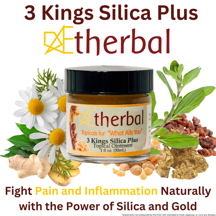 Holiday Relief & Recovery Trio Bundle - 3 Kings Silica Plus, Cold Gold Fusion, & Your New Path