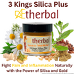 Holiday Relief & Recovery Trio Bundle - 3 Kings Silica Plus, Cold Gold Fusion, & Your New Path