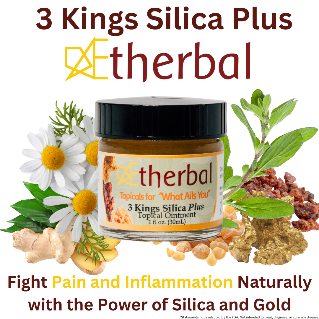 Holiday Relief & Recovery Trio Bundle - 3 Kings Silica Plus, Cold Gold Fusion, & Your New Path