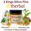 Pain and Inflammation Topical - 3 Kings Silica Plus - Restore Function Naturally