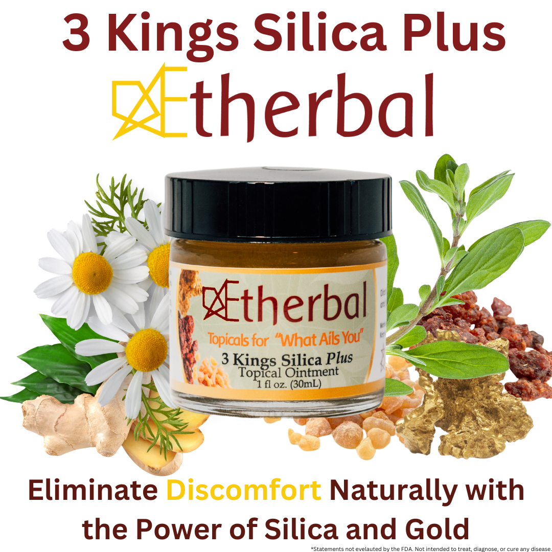 Pain and Inflammation Topical - 3 Kings Silica Plus - Restore Function Naturally