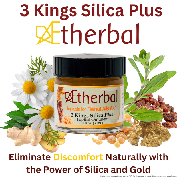 Pain and Inflammation Topical - 3 Kings Silica Plus - Restore Function Naturally