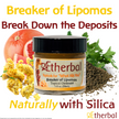 Breaker of Lipomas