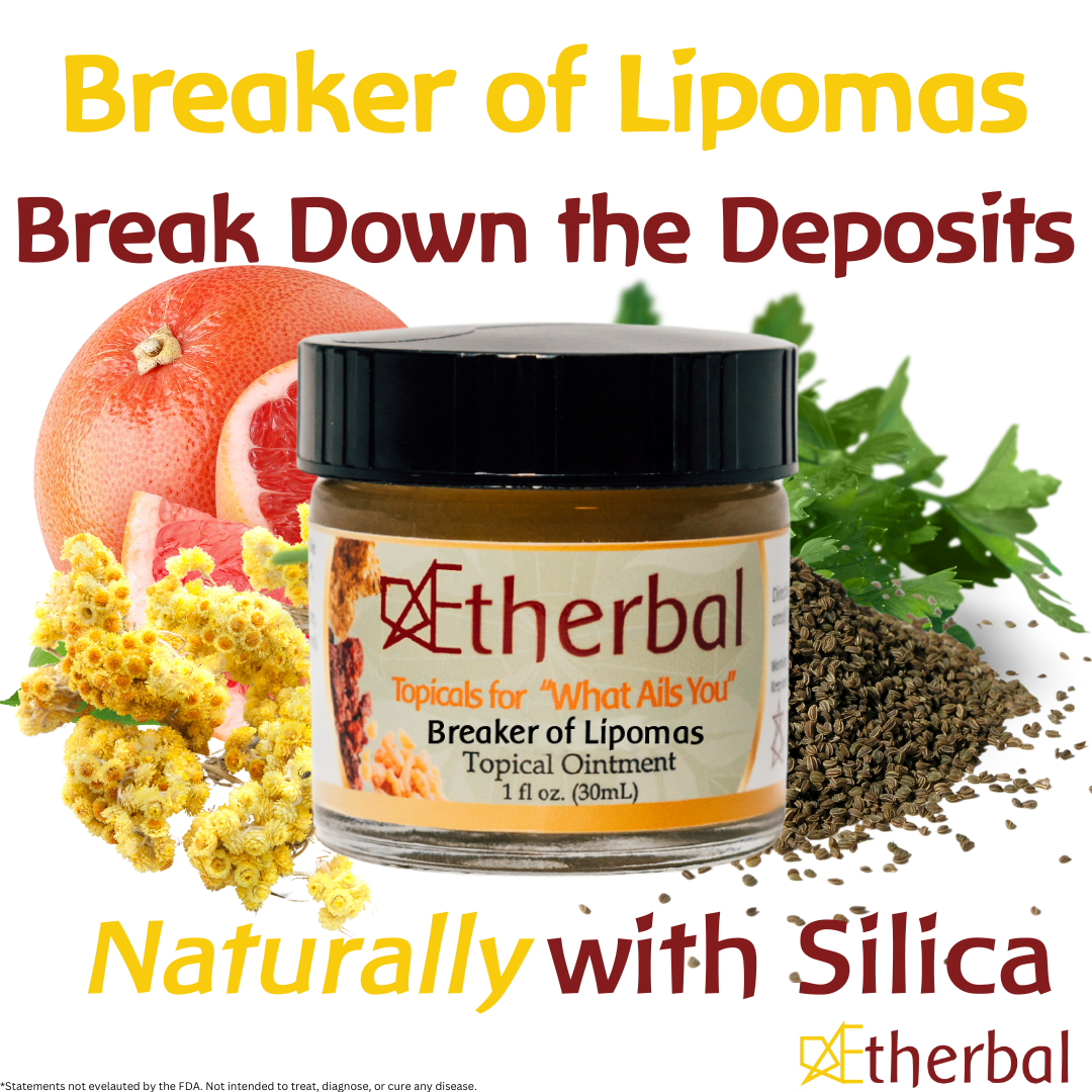 Breaker of Lipomas