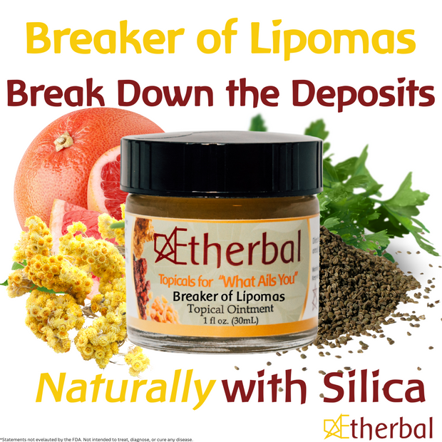 Breaker of Lipomas