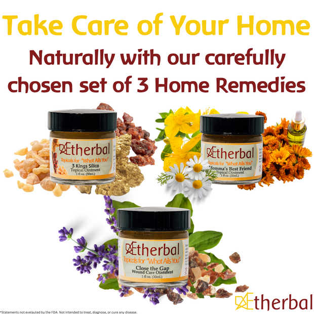 AEtherbal Home Herbal First Aid Kit 1oz jars - 3 pack