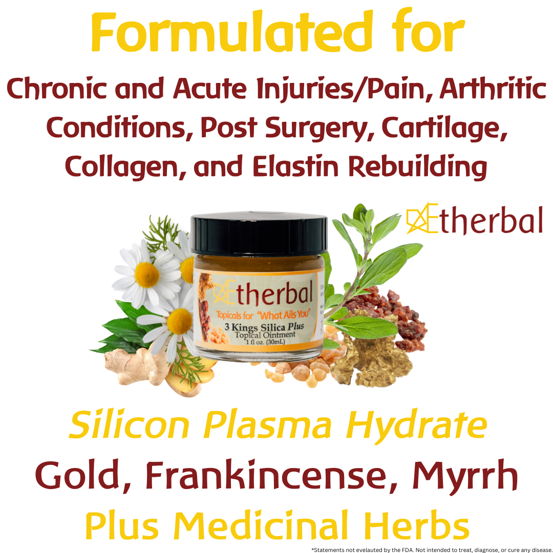 Holiday Relief & Recovery Trio Bundle - 3 Kings Silica Plus, Cold Gold Fusion, & Your New Path