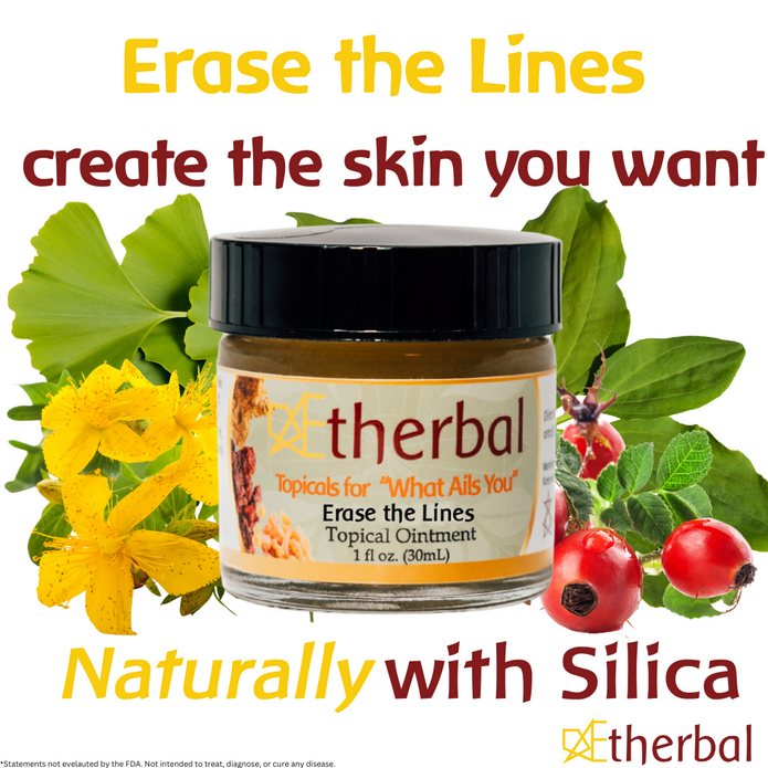 Renewal & Restoration Trio Bundle - Re Gen Vein, Erase the Lines, & Mom's Best Friend