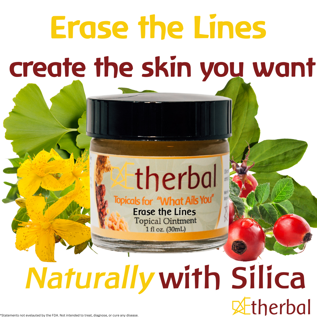 Renewal & Restoration Trio Bundle - Re Gen Vein, Erase the Lines, & Mom's Best Friend