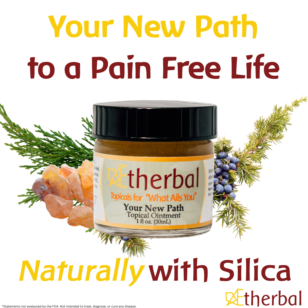 Holiday Relief & Recovery Trio Bundle - 3 Kings Silica Plus, Cold Gold Fusion, & Your New Path