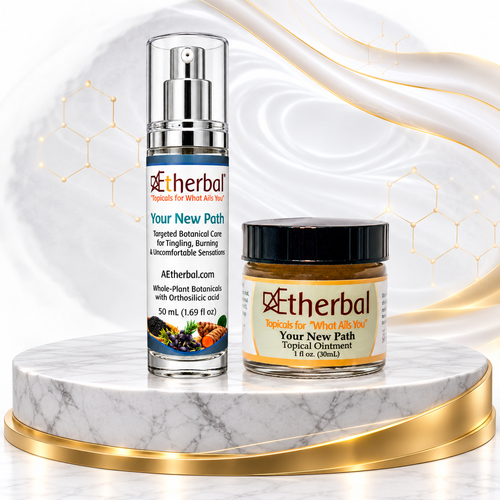 Your New Path – Quiet the Static. Find Your Ease.