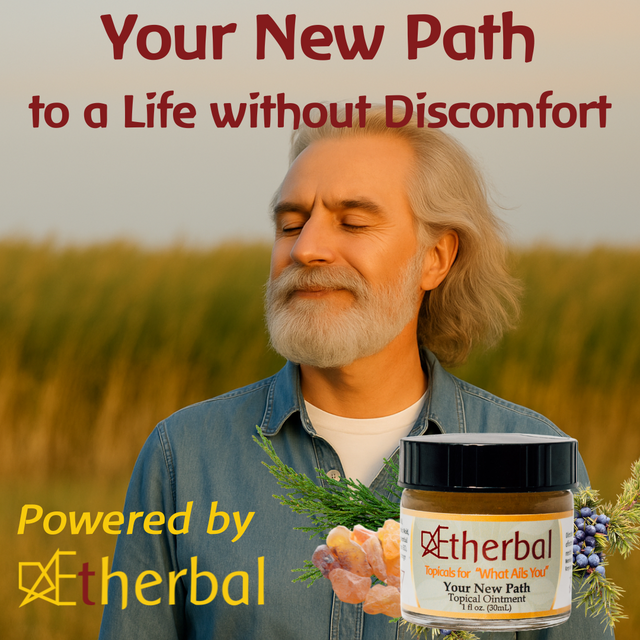 Your New Path to Quiet the Static. Find Your Ease.